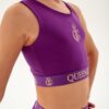 Top Climbing Purple &mdash; photo 28 &mdash; Queen Gym