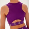 Top Climbing Purple &mdash; photo 26 &mdash; Queen Gym